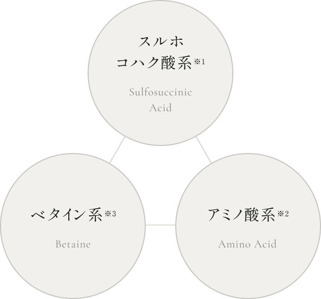 スルホコハク酸系※1[Sulfosuccinic Acid] / アミノ酸系※2[Amino Acid] / ベタイン系※3[Betaine]