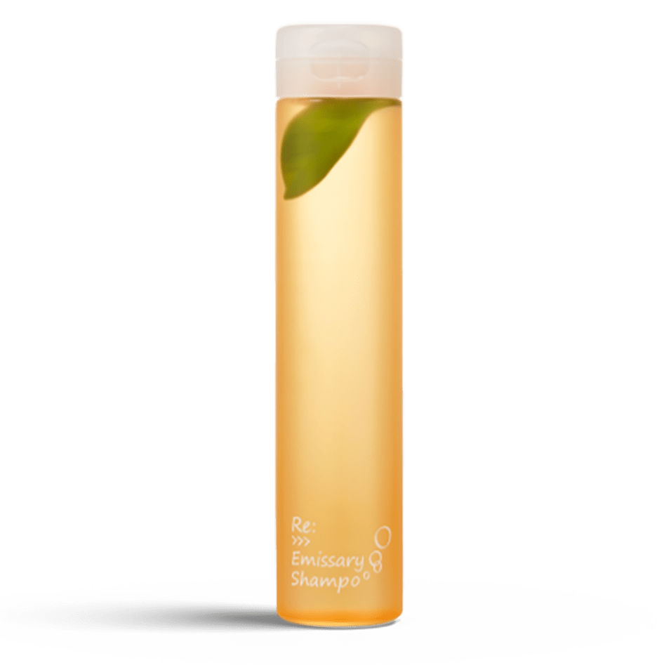re:>>>emissary shampoo