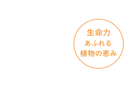 生命力あふれる植物の恵み